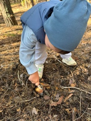 ���������� �������: ��� ������� ������� � ���������� � ���� �����