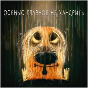 Что стоит за осенним хандрой: мифы и реальность