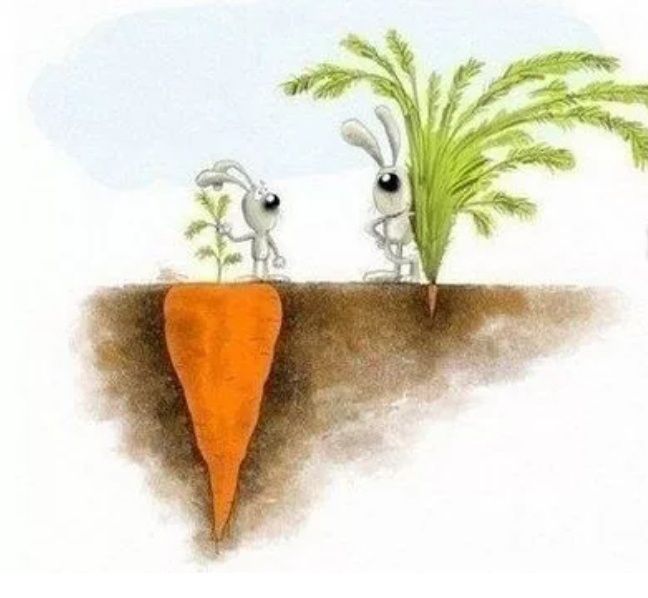 Самоуважение как прививка