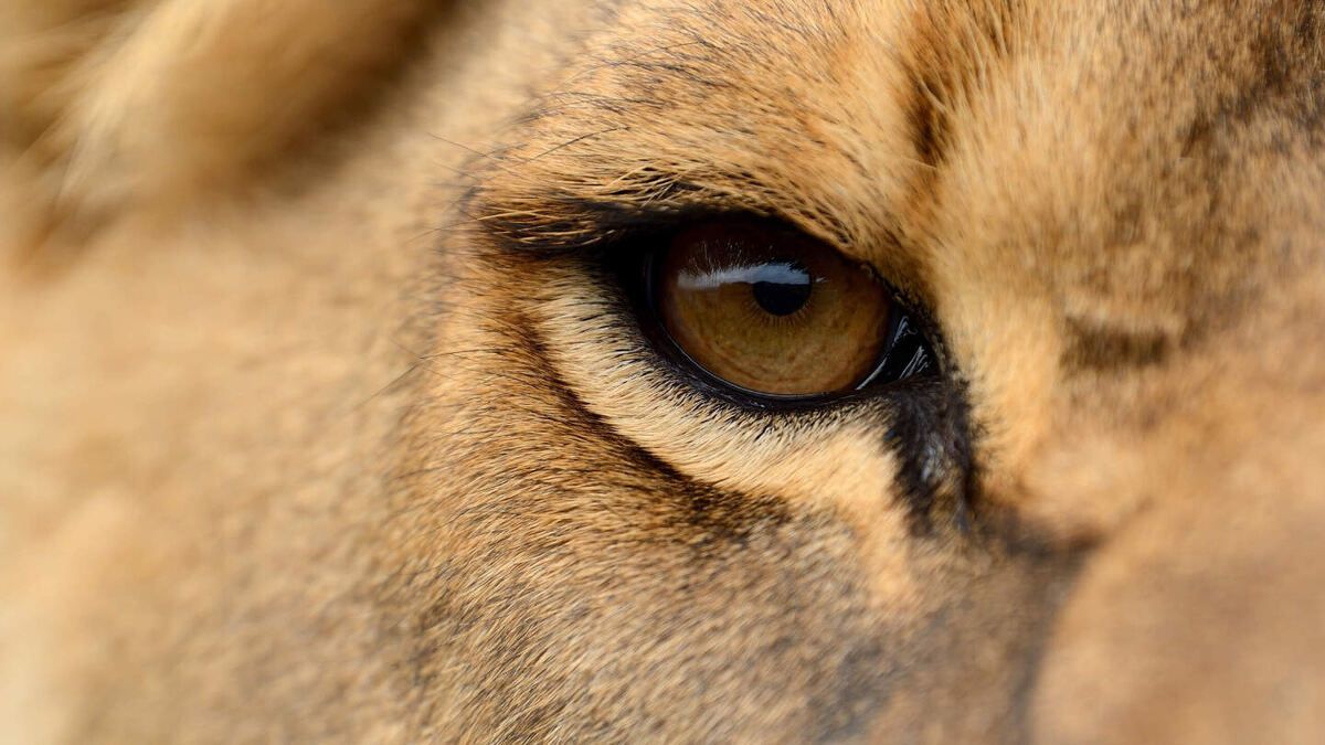 ��� �������� ���������� ������� � �������� ������ �� �� �����