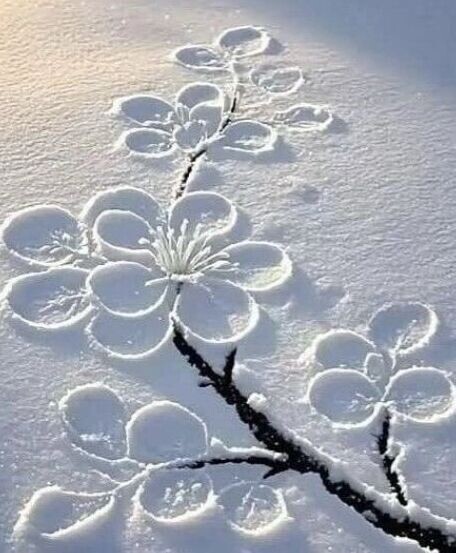 Зимние красоты: Как россияне наслаждаются холодами