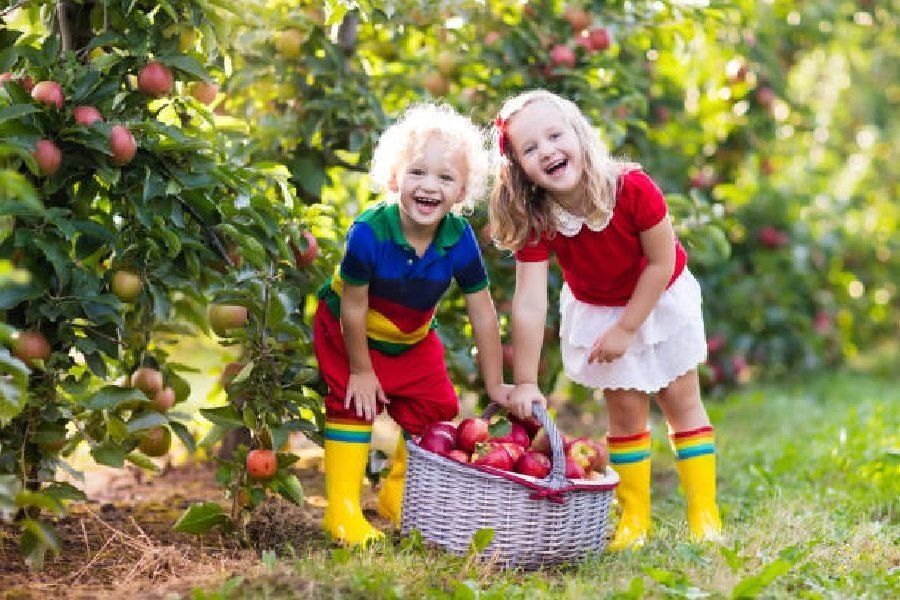 Когда один плюс один становятся тремя: о совести в коллективе
