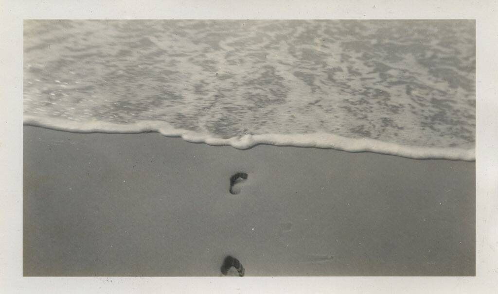 �������: ���� � �������� � �������������