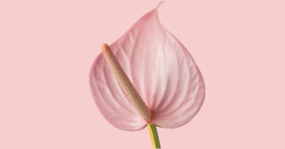 ������������� ������ � ������� �������: ��� ����� �� ���������� �����