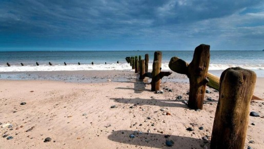 ����� ������: ��� ����� ����� ����������� �������