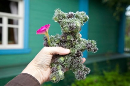 Эмоции как ключ к гармонии: метод «Я исследователь»