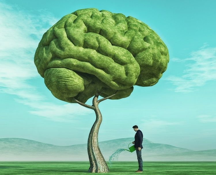 ������ ��� ���� ��� ����� ������ ��������-������������ �����