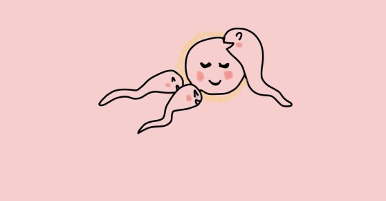 ��� � �������� ��������: ������ ��� �������?