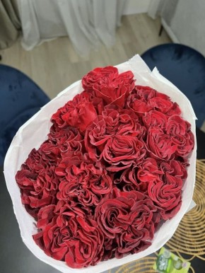 ������ ��������� ������ ����� ��� ������