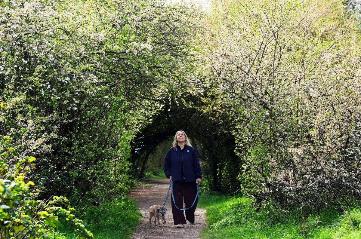 ��� �������� ��������: �������� ������ �� ����� �� �����