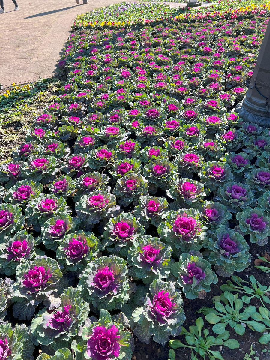 Он пришёл без подарка и без заботы