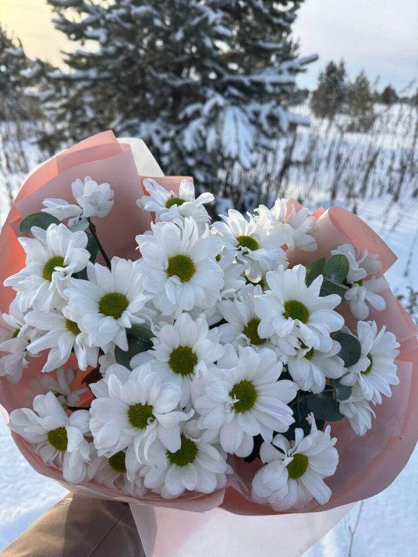 ��� ����� ������? ���� ���������� � ��� ����������