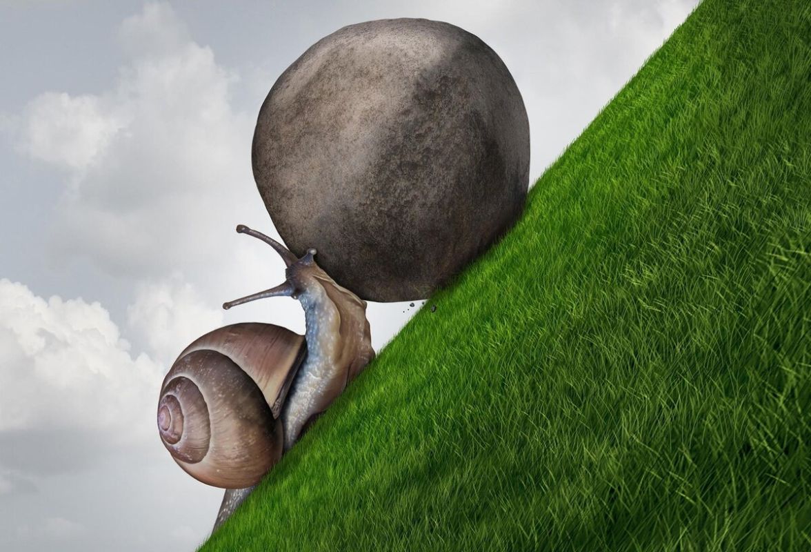 ��� ��������, ����� ��������� �� ������