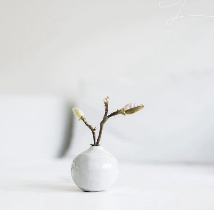 ����� ����� �� ������� ����������