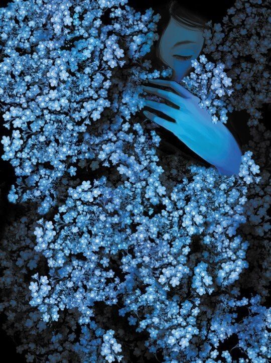 ��� ���������� ��������� ����� ������ �� ������ ������