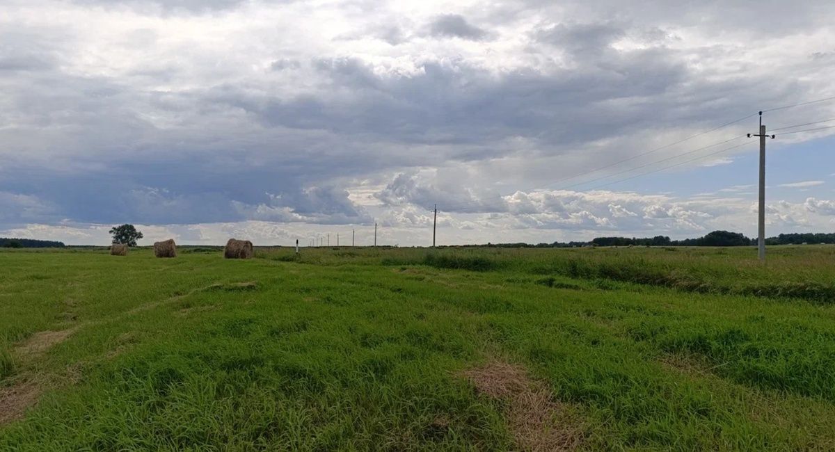 ����� �������: ��� ������� ������� ���������� ���� �����