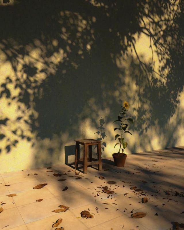 ����� ������ ��������� �������� �������