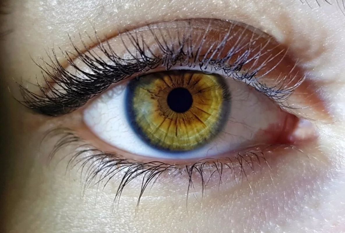 Гипноз против воли: мифы и реальность раскрыты специалистами