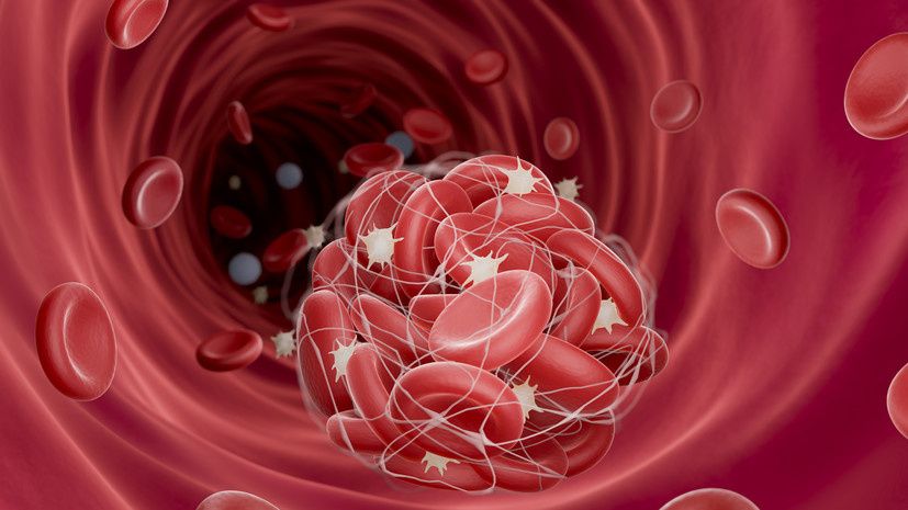 ������������ ������������: ����� ����� �������� ����������� � ��������