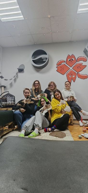 ������ ������: ������ ���� �������� � ������