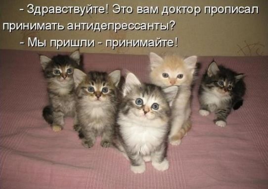 ������������� ���� ������ � ����������: ������ ������� 24 �����