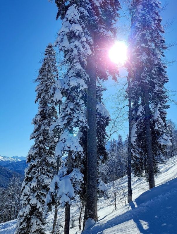 ������ ���� ��������� � ����, � ������ �������� �� ����