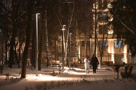 Зеленая терапия: Как природа и спорт влияют на психическое здоровье