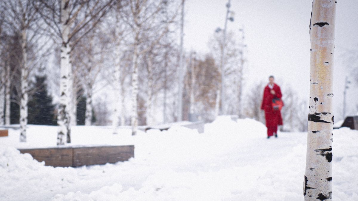 7 ������ ����� �� ���� �����: �� ������� ������ �����