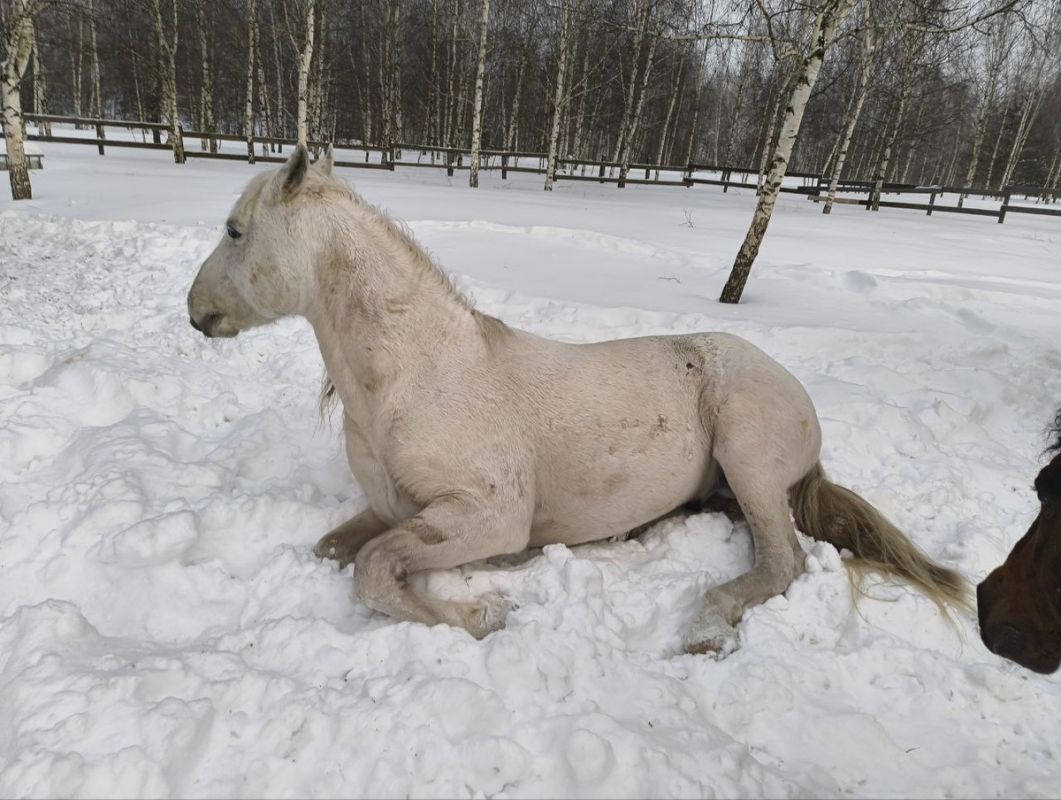 ����� � ��������: ��� ���� ����� ����� ���� � ��������