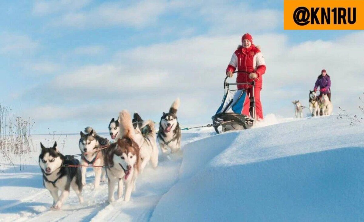 ��� ������� ����� ��������� ������������