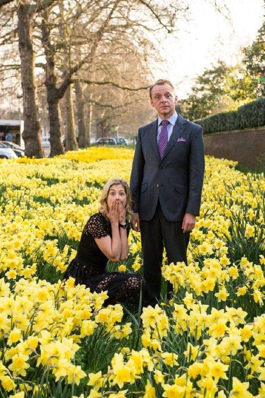 ����������� �������: �� ������� ��������� �������