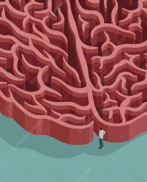 ����������� ����������: ��� ���� ��������� ������������