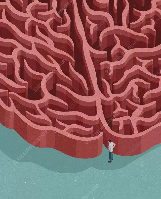 Архитектура интеллекта: как мозг формирует гениальность