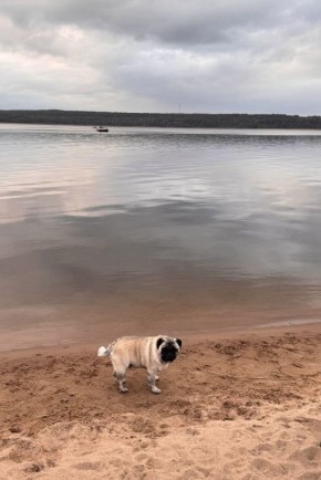 ���������������� �����: �� ����������� � ���������