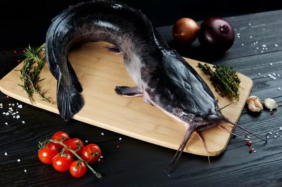 Вредные и полезные рыбы: что выбрать после 60