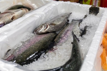 ��� ����������� ��������� ������������� ��������: ������ � ��������