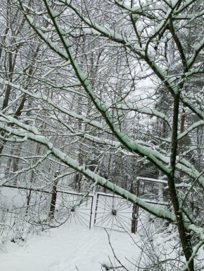 ��� ������ ������� ������� ���� � ���������� ������