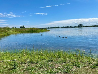 ��� ��������� ��������� ��� ������ ������