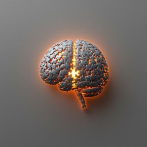 ������ ����� ������������ ������ ����������� ���������