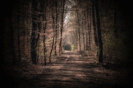 ������������� ��� ������������ ���� ��� ������� ���������