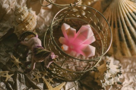 �������� ����: ��� ��� ��������� ���� ����������