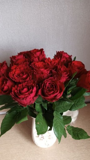 ���� �����: ������ ���������� ������ ����������