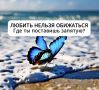��� ��������� ��������� � �������� ���������: ���� � ����������� �����������