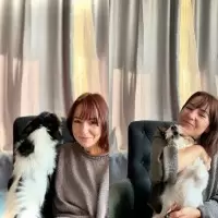 Непревзойденный Джеки: Как Собака Стала Источником Вдохновения